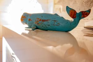 bassin intérieur maison